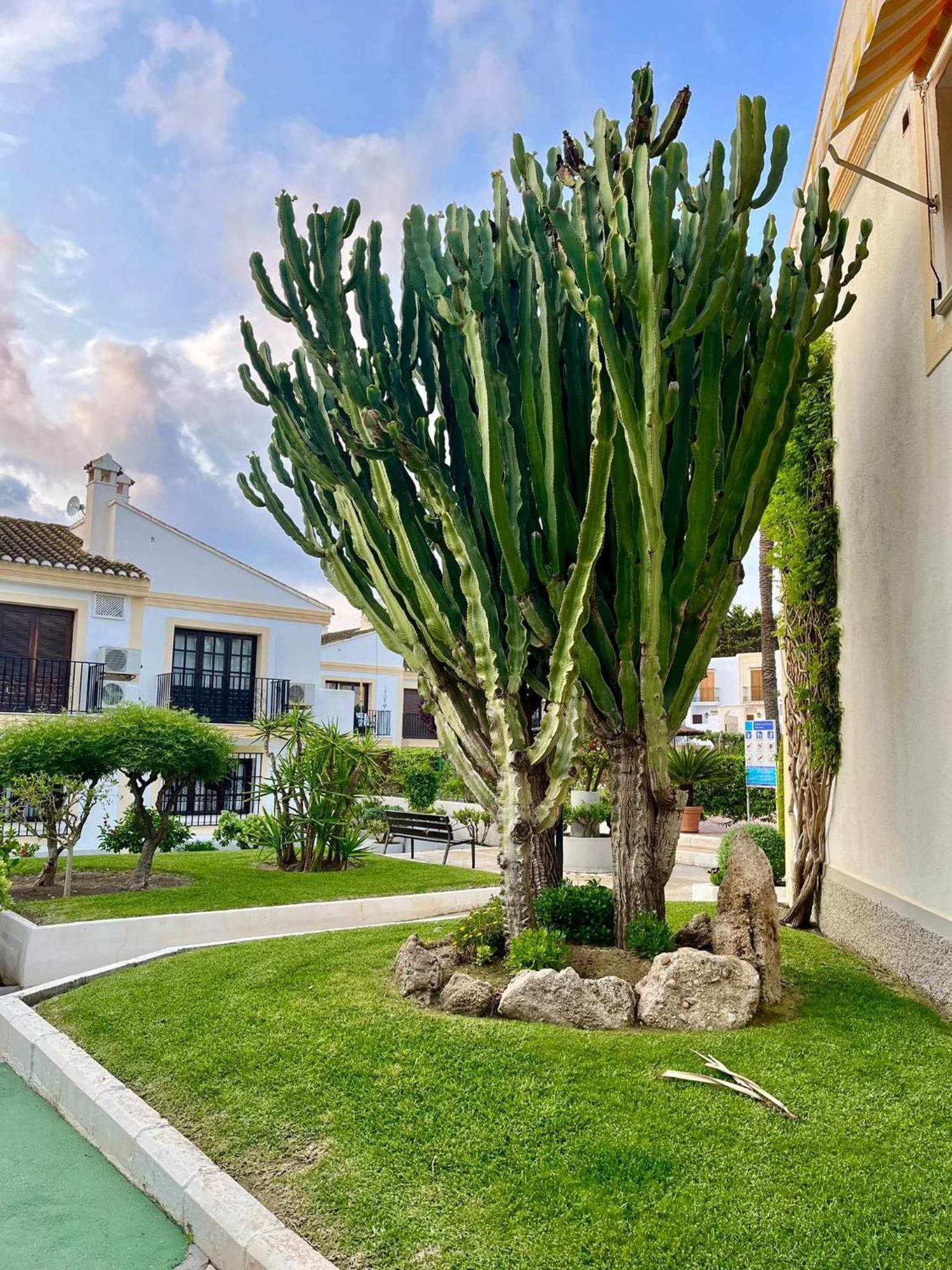 Apartamento Vera Coast 123 Playas de Vera Buitenkant foto
