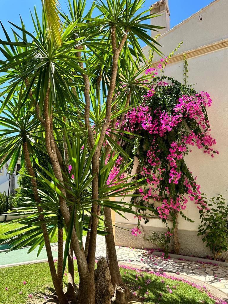Apartamento Vera Coast 123 Playas de Vera Buitenkant foto